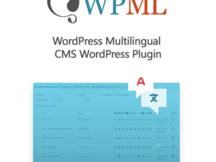 WordPress Multilingual CMS WordPress Plugin