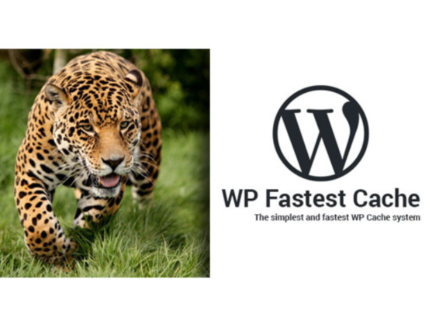 WP Fastest Cache WordPress Plugin – Premium