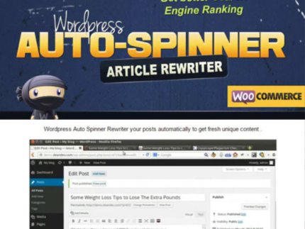 WordPress Auto Spinner – Articles Rewriter