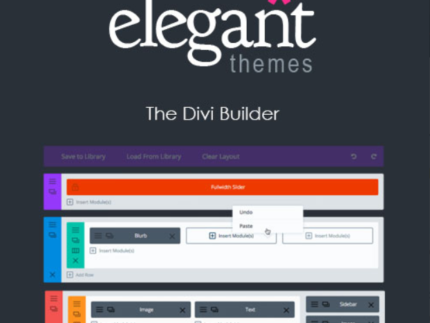 Elegant Themes The Divi Builder