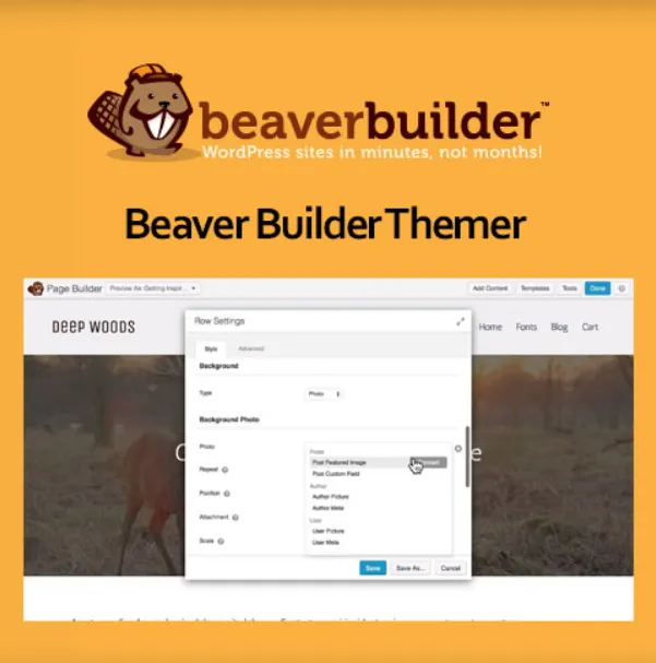 Jual Beaver Builder Themer