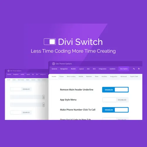 Jual Divi Switch Pro