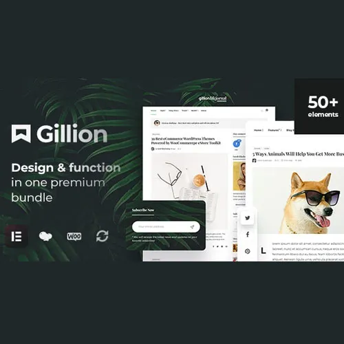 Jual Gillion | Multi-Concept Blog/Magazine & Shop WordPress AMP Theme