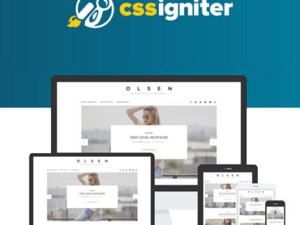 CSS Igniter Olsen WordPress Theme