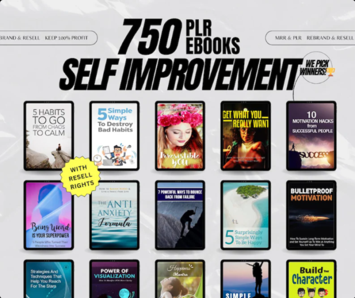 Bundle Ebook PLR Self Improvement - 750 Buku Digital