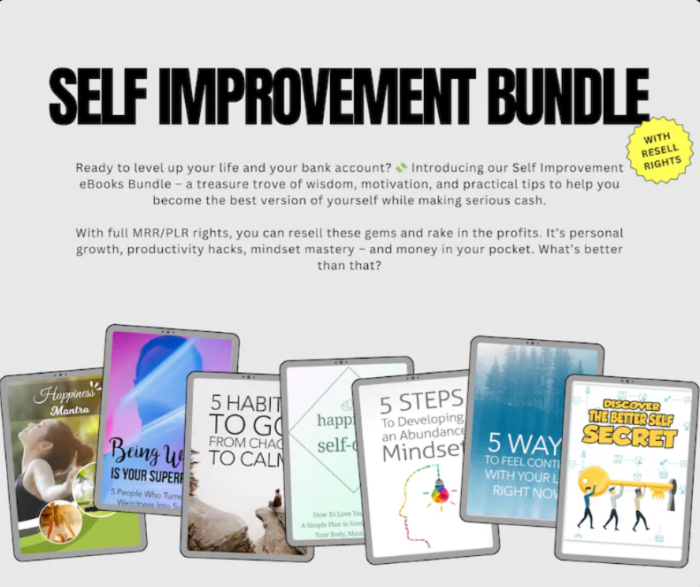 Bundle Ebook PLR Self Improvement - 750 Buku Digital