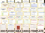 PLR 12000+ Pages Canva Planner Templates