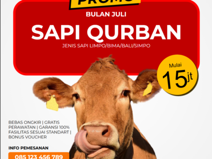 70 Template Jualan Hewan Qurban